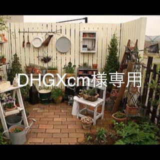 ナイキ(NIKE)のDHGXcm様 専用(その他)