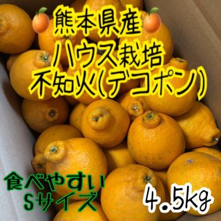 熊本県産 ハウス栽培 不知火(デコポン) 送料無料！(フルーツ)