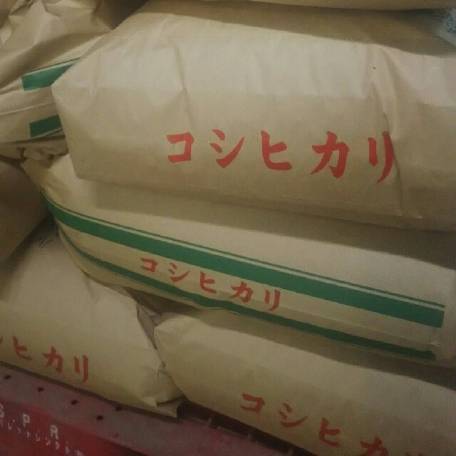 30年産新米「コシヒカリ」玄米30キロ精米無料(精米すると約27キロです)食品