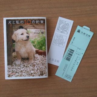 犬と私の10の約束(文学/小説)