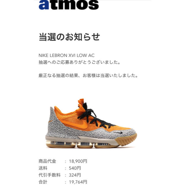 NIKE LEBRON XVI LOW AC 26.5cm レブロン16