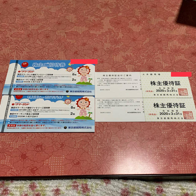 東京サマーランド 株主ご招待券 12枚+株主優待証(大井競馬場 東京サマーランド 株主ご招待券 12枚+株主優待証(大井競馬場