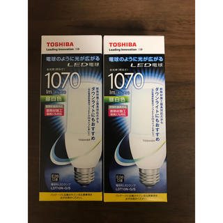 トウシバ(東芝)のTOSHIBA 東芝 ライテック LED電球 LDT10N-G/S 2本セット(蛍光灯/電球)