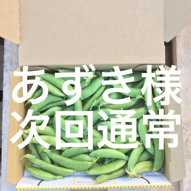 鹿児島産スナップエンドウ箱込み500g^_^次回通常 食品/飲料/酒の食品(野菜)の商品写真