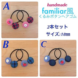 kanakako様専用 ハンドメイド ファミリア風  ヘアゴム 2本(その他)