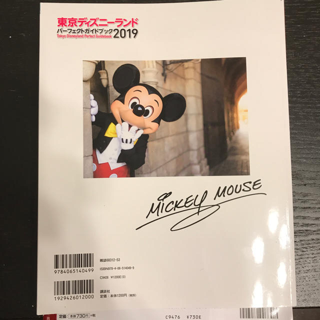 Disney(ディズニー)のちょちこさま専用 ディズニーランドガイドブック2冊 エンタメ/ホビーの本(地図/旅行ガイド)の商品写真