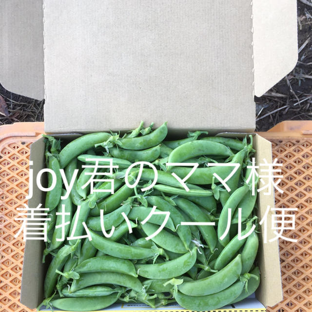 鹿児島産スナップエンドウ1キロ^_^ 食品/飲料/酒の食品(野菜)の商品写真