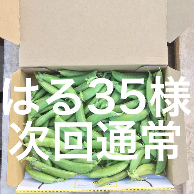 鹿児島産スナップエンドウ箱込み500g^_^次回通常 食品/飲料/酒の食品(野菜)の商品写真