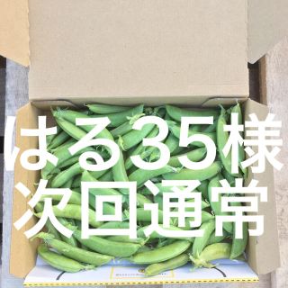 鹿児島産スナップエンドウ箱込み500g^_^次回通常(野菜)