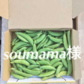 鹿児島産スナップエンドウ箱込み500g^_^(野菜)