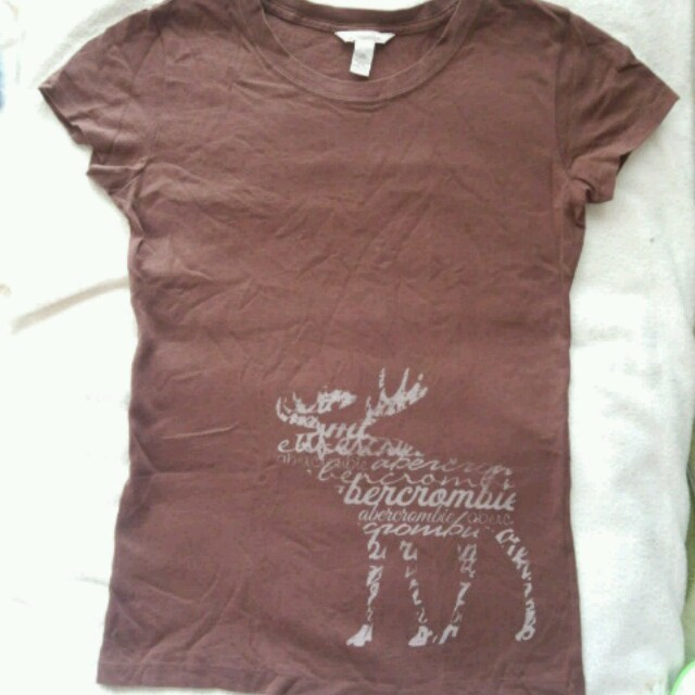 Abercrombie&Fitch(アバクロンビーアンドフィッチ)のアバクロ　ブラウンのTシャツ　XＬ レディースのトップス(Tシャツ(半袖/袖なし))の商品写真