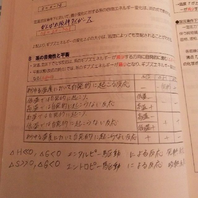 薬ゼミの要点集 エンタメ/ホビーの本(語学/参考書)の商品写真