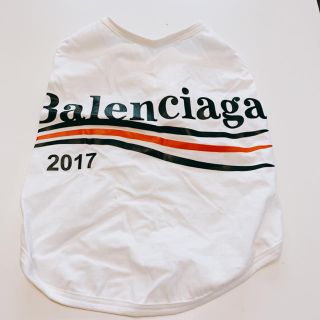 バレンシアガ(Balenciaga)の【新品】バレンシアガ 犬用①(犬)