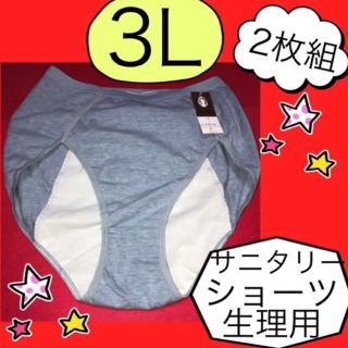 2枚組大きいサイズのサニタリーショーツ3Lサイズ生理用パンツサニタリーナイト用(ショーツ)