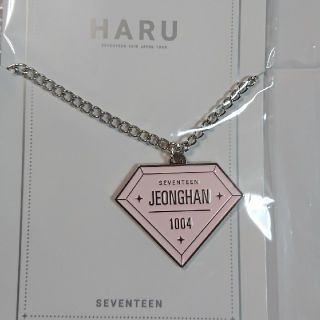 SEVENTEEN ジョンハン HARUキーホルダー(K-POP/アジア)