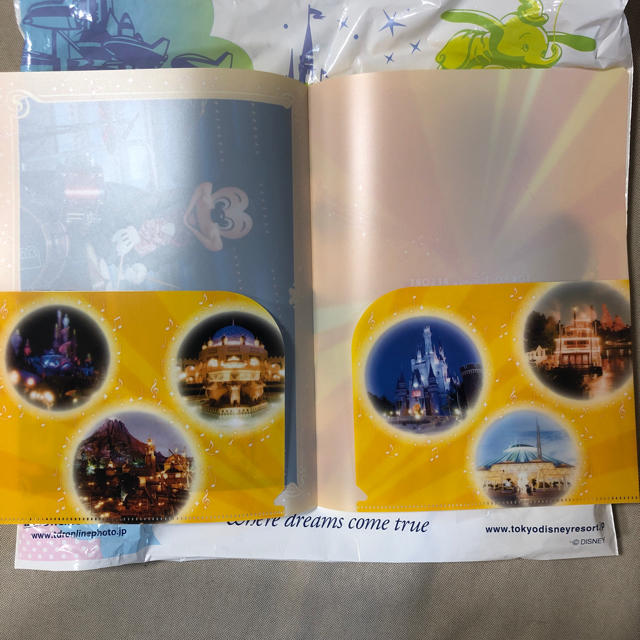 Disney(ディズニー)の新作♡ ファンダフル ディズニー会員限定 バインダー&クリアホルダー エンタメ/ホビーのアニメグッズ(クリアファイル)の商品写真