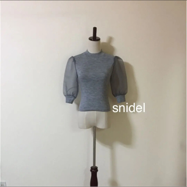 SNIDEL(スナイデル)の専用2点 レディースのトップス(カットソー(半袖/袖なし))の商品写真