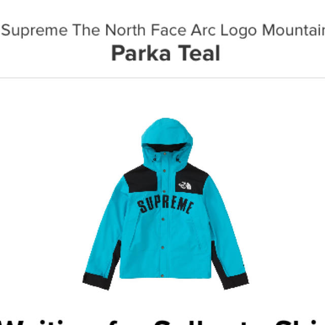 supreme  northface