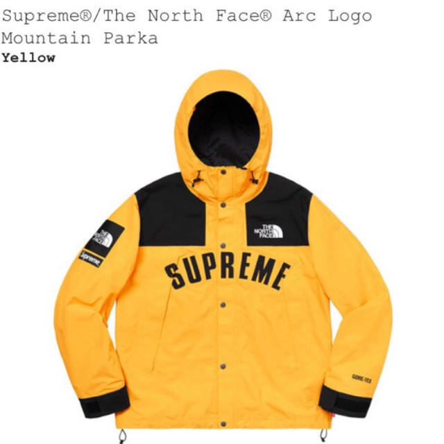 supreme northface   L arc mountain parka