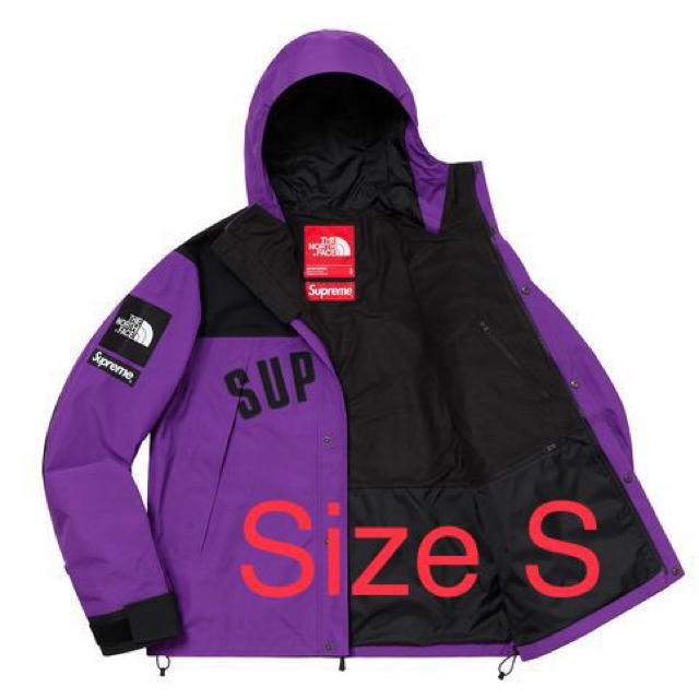 Supreme The North Face Mountain Parka