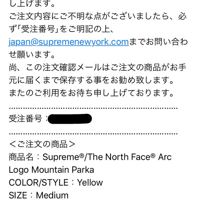 Supreme(シュプリーム)のsupreme north face mountain parka メンズのジャケット/アウター(マウンテンパーカー)の商品写真