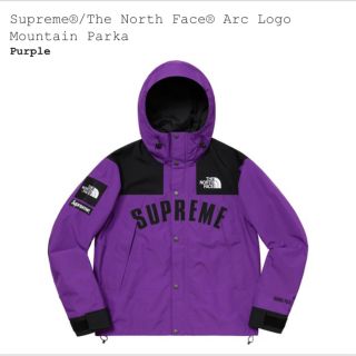 シュプリーム(Supreme)のsupreme the north face 19ss mountain パーカ(マウンテンパーカー)