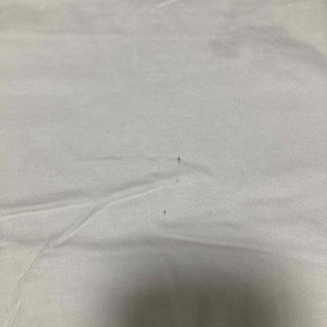 HARE(ハレ)の【送料無料】SENSUAL FMH ロンT カットソー 白 メンズのトップス(Tシャツ/カットソー(七分/長袖))の商品写真