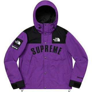 シュプリーム(Supreme)のsupreme TNF arc logo mountain parka(マウンテンパーカー)