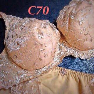 C70オイルパットブラジャーセット2色組(その他)