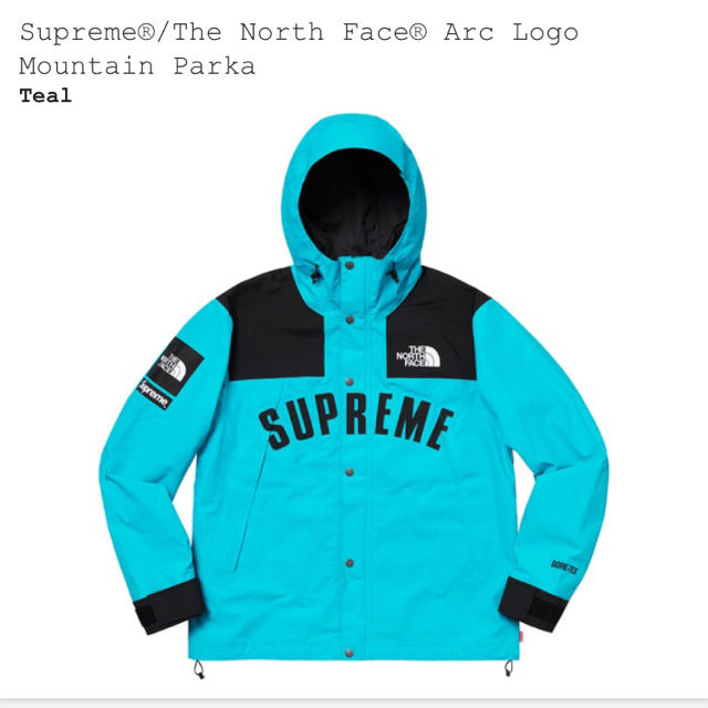 【Teal M】Supreme Northコラボ Mountain Parka