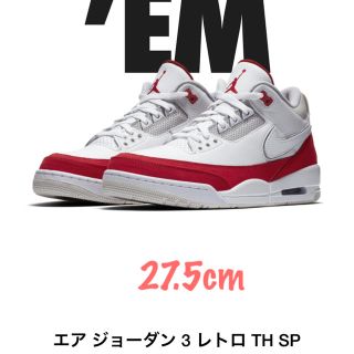 ナイキ(NIKE)のNike AIR JORDAN 3 RETRO TH SP AIR MAX1(スニーカー)