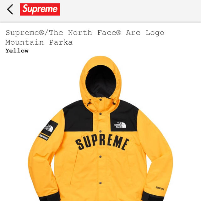 Supreme north face moutain parka