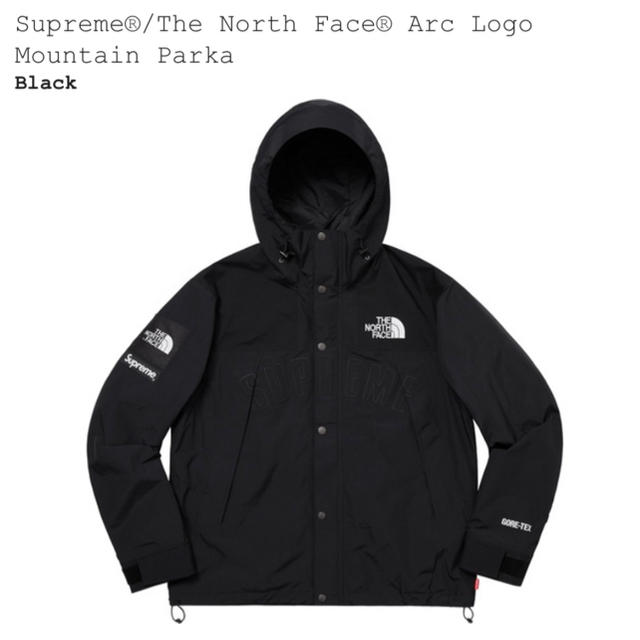 Supreme/The north face maintain park