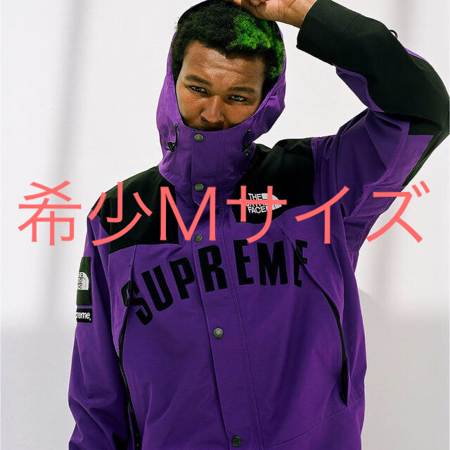 Supreme The North Face Mountain Parka