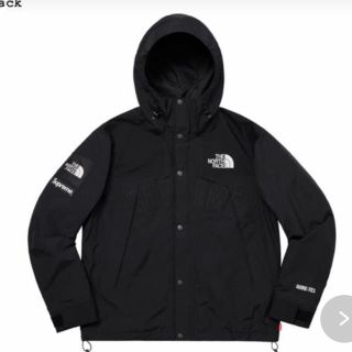 シュプリーム(Supreme)のsupreme the north face mountain Parker(マウンテンパーカー)