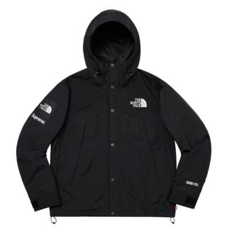 シュプリーム(Supreme)のSupreme North face Parka(マウンテンパーカー)