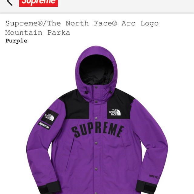 supreme19ss the norce face 紫マウンテンパーカーM