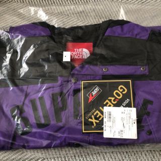 シュプリーム(Supreme)のsupreme TNF Arc Logo Mountain Parka(マウンテンパーカー)