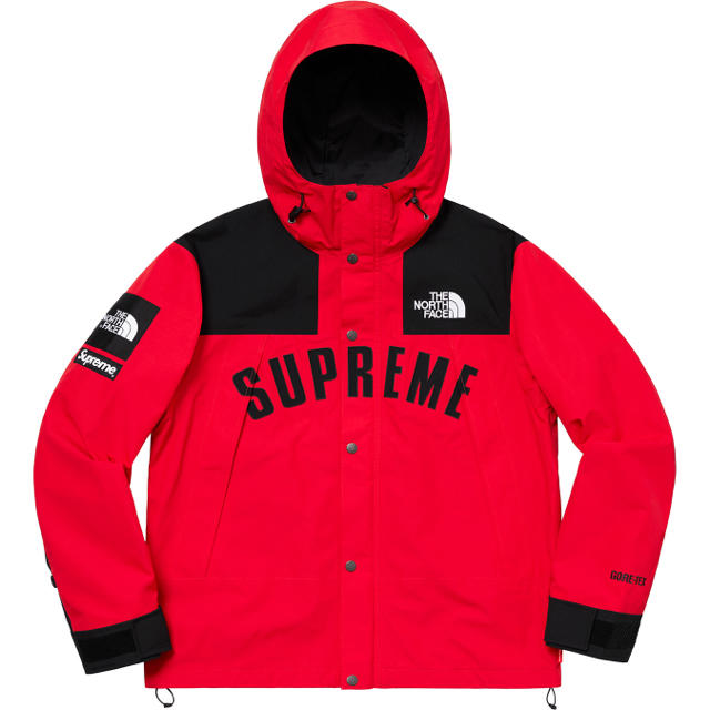 supreme the north face mountain parka M