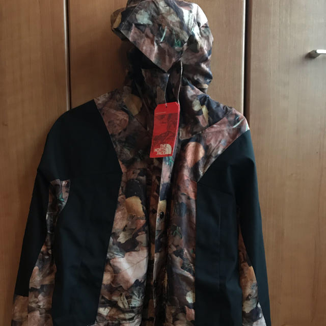 新品 Supreme North Face Mountain Light 落ち葉