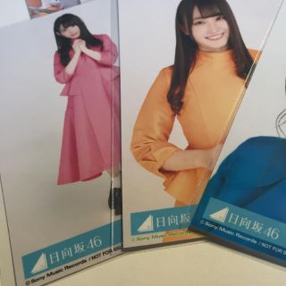 ケヤキザカフォーティーシックス(欅坂46(けやき坂46))の専用 （柿崎芽実 ヒキ）(アイドルグッズ)