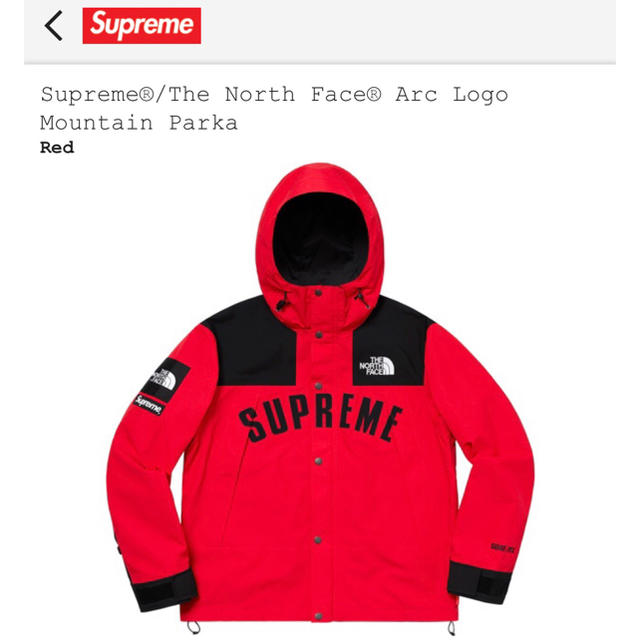 supreme northface arc log mountain parka