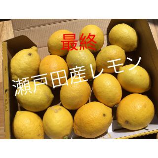 【産地直送】広島/瀬戸田産 レモン1.2kg 送料込み◎(フルーツ)