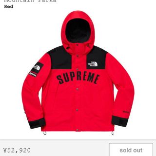 シュプリーム(Supreme)のsupreme north face mountain parka(マウンテンパーカー)