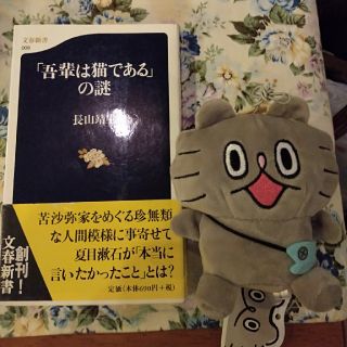 フクヤ(福屋)のねこのぶーちゃんミニぬいぐるみストラップマスコット新品(キャラクターグッズ)