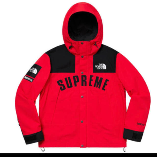 supreme the north face