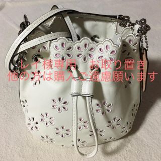 コーチ(COACH)のコーチ  レザー  ミニポシェット  美品(ショルダーバッグ)