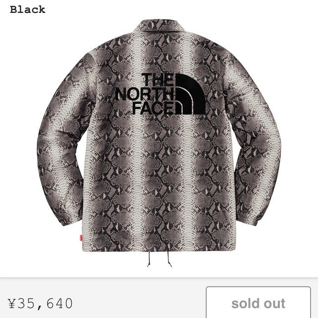 Supreme(シュプリーム)の［送料込］supreme The North Face  メンズのジャケット/アウター(ナイロンジャケット)の商品写真