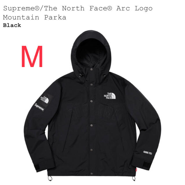 Supreme The North Face Mountain Parka