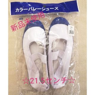 【新品未使用】上靴☆21.5cm☆小学生☆男の子☆ブルー青☆入学準備新学期に(スクールシューズ/上履き)